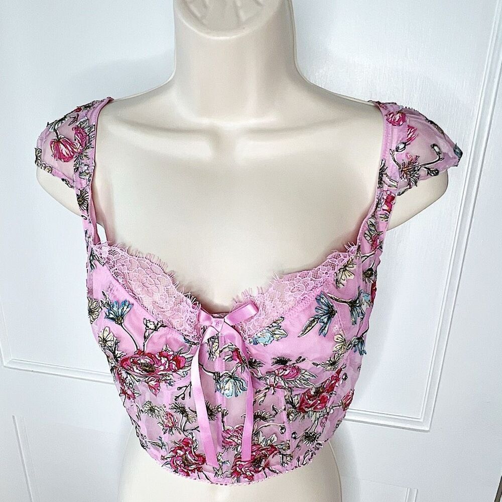 VictoriaβsβSecret Dream Angel long line embroidered Bustier Nwt Medium Pink Flor